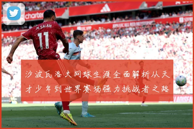 沙波瓦洛夫网球生涯全面解析从天才少年到世界赛场强力挑战者之路-深度解析