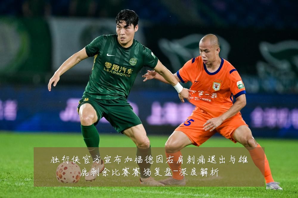 独行侠官方宣布加福德因右肩刺痛退出与雄鹿剩余比赛赛场复盘-深度解析